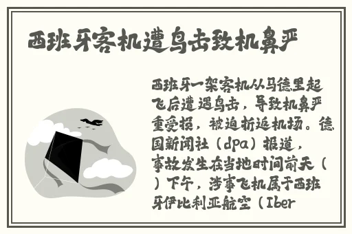 成 人 网 站 在线