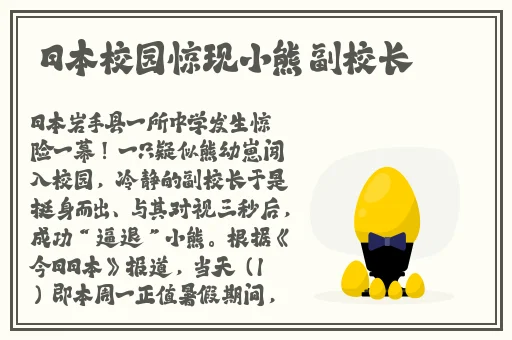 17c.13起草
