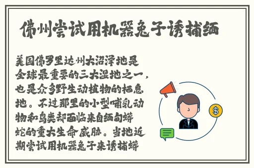 国产一卡二卡四卡国